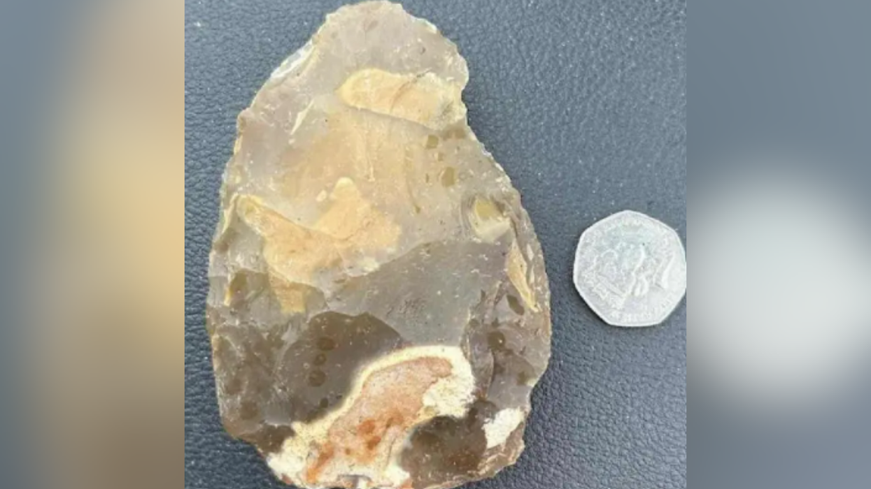 Family left stunned after stumbling across 'exceedingly rare' Stone Age hand axe