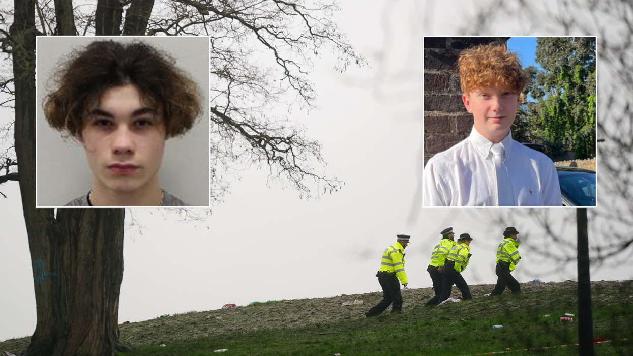 Teenager who stabbed 'charming' Harry Pitman at New Year's Eve fireworks display locked up for 16 years