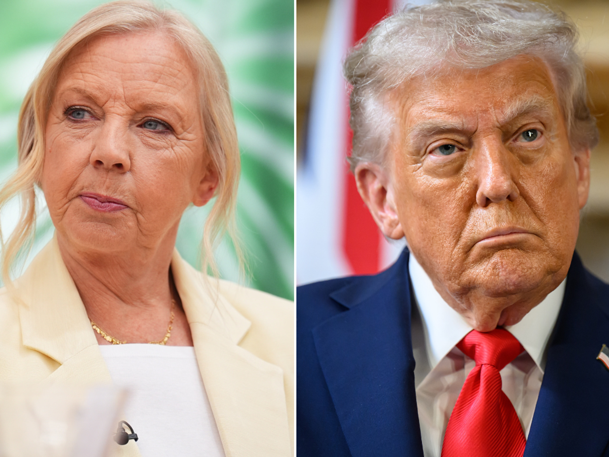 Deborah Meaden sparks fury as Dragons' Den star slams 'sheep' BBC critics in fierce defence rant:...