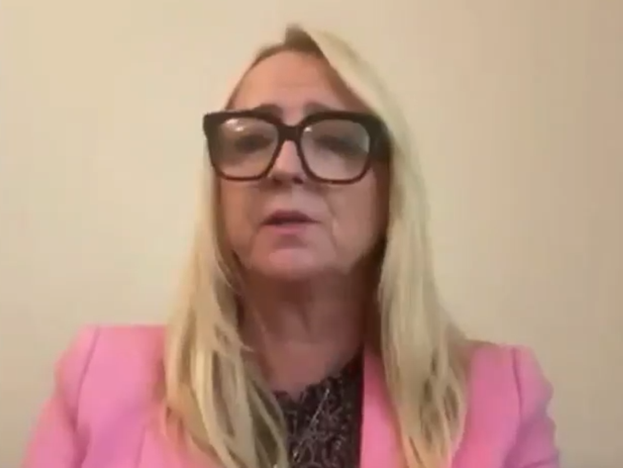 WATCH: Epping protests 'will not stop' in light of High Court ruling, Karen McIvor says