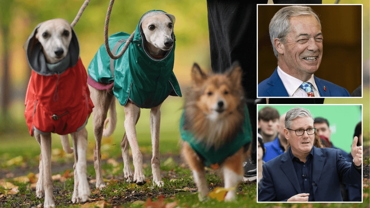 Not ONE dog was named Keir last year - but Nigel and Boris both surge in canine poll