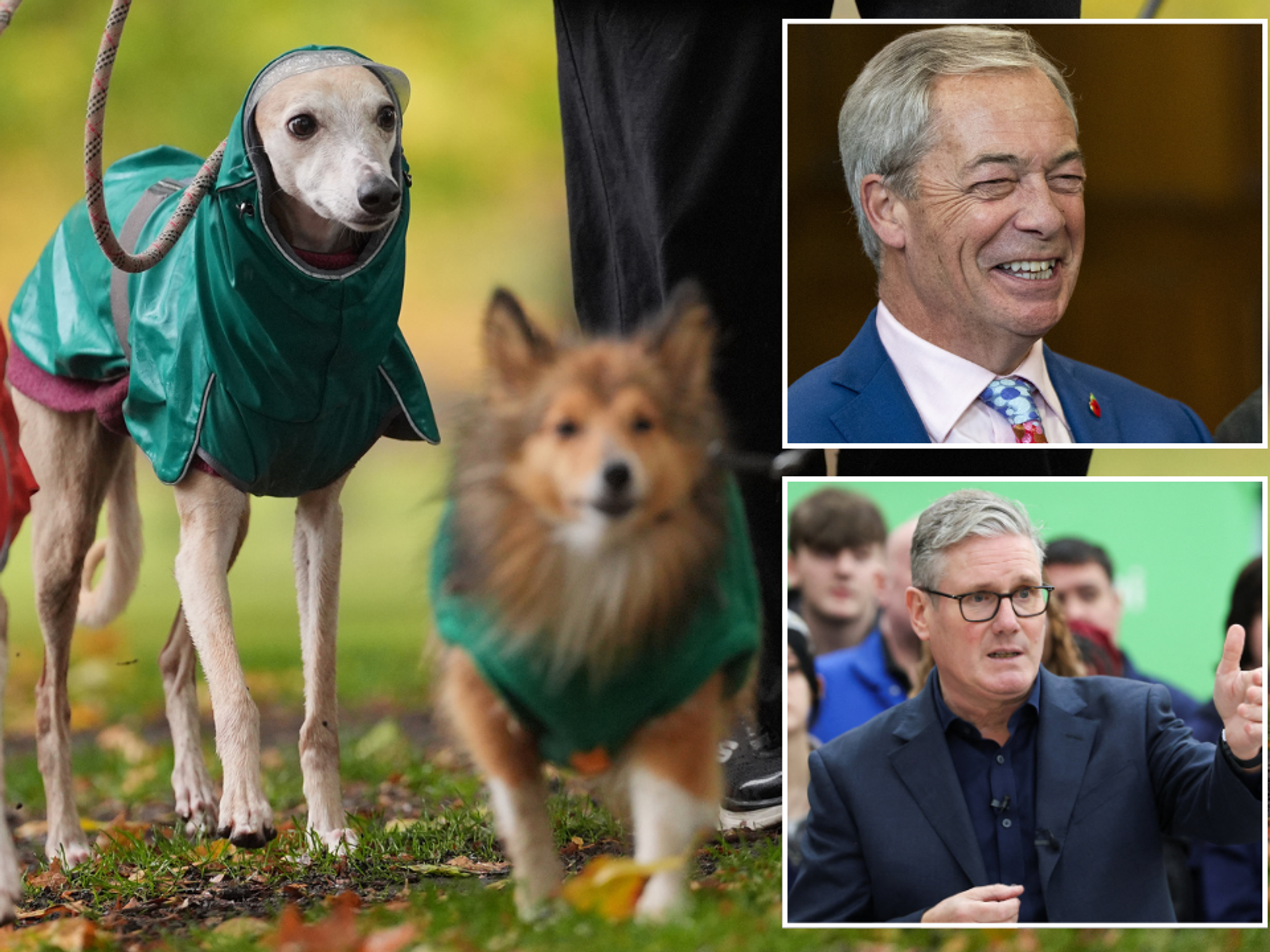 Not ONE dog was named Keir last year - but Nigel and Boris both surge in canine poll