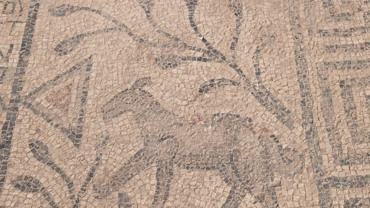 Mysterious Christian mosaic stuns researchers as it reveals lost secrets of the bible