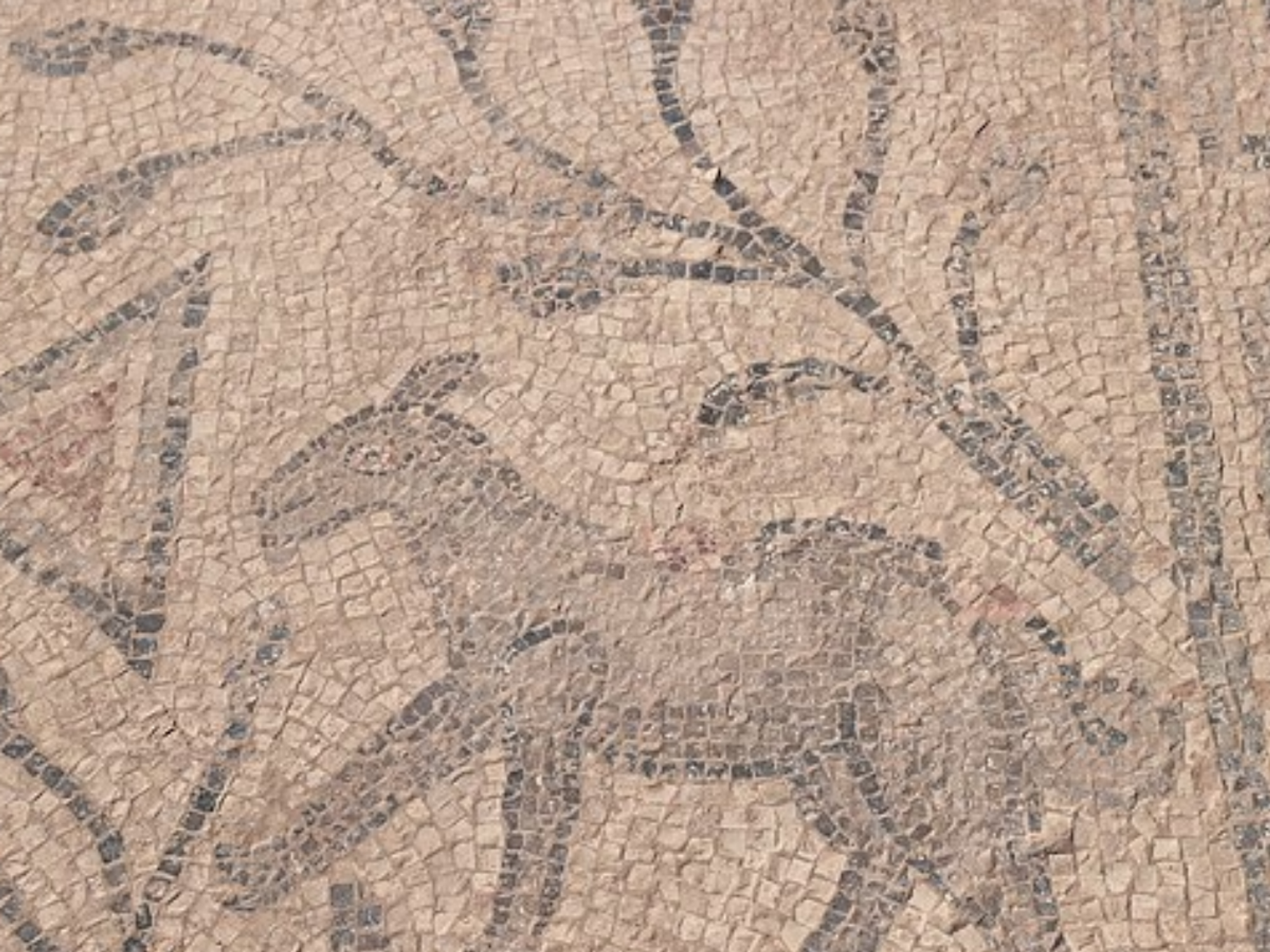 Mysterious Christian mosaic stuns researchers as it reveals lost secrets of the bible