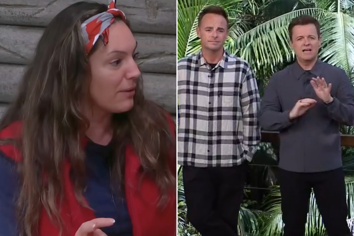 Ant and Dec divide ITV I'm A Celebrity fans with 'mean' Kelly Brook swipe as trio's feud resurfaces