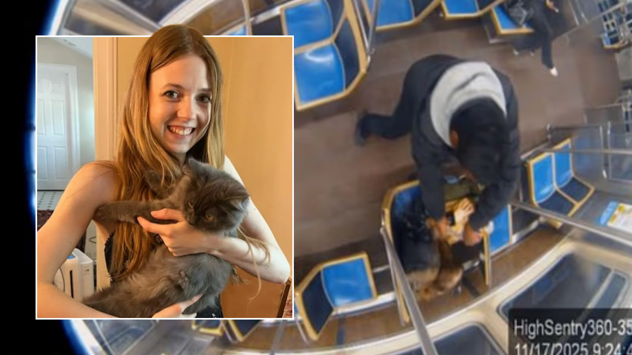 Woman who was 'doused in petrol and set alight' by serial offender in blood-curdling train attack...