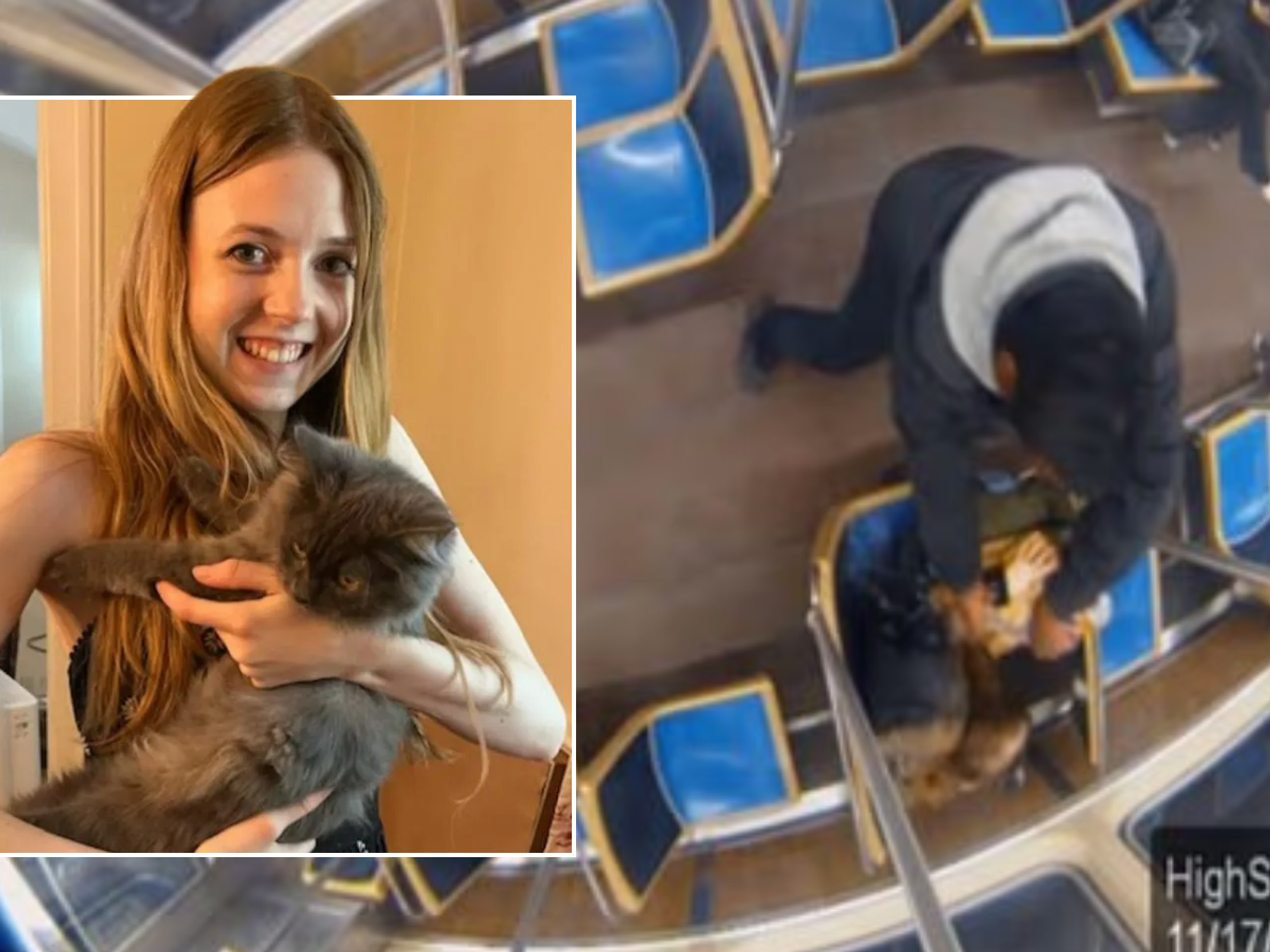 Woman who was 'doused in petrol and set alight' by serial offender in blood-curdling train attack...