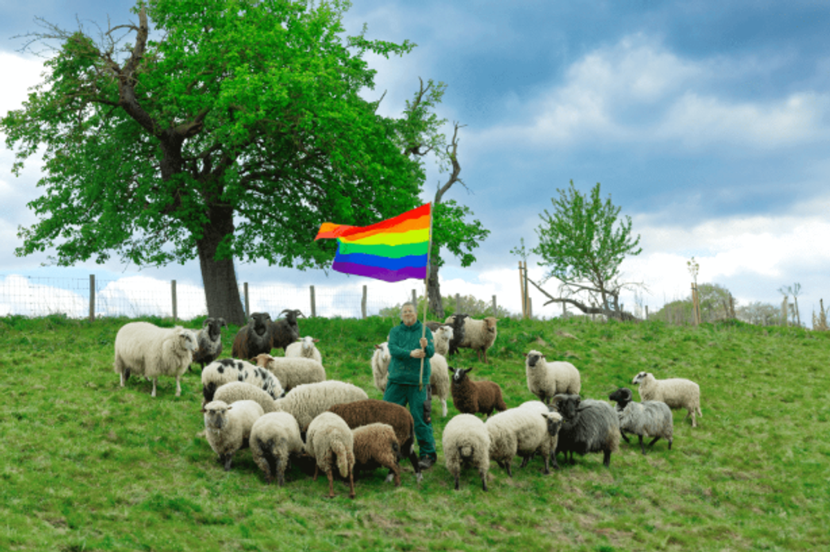 Woke fashion show includes wool of gay sheep as part of collection campaigning to save animal slaughter