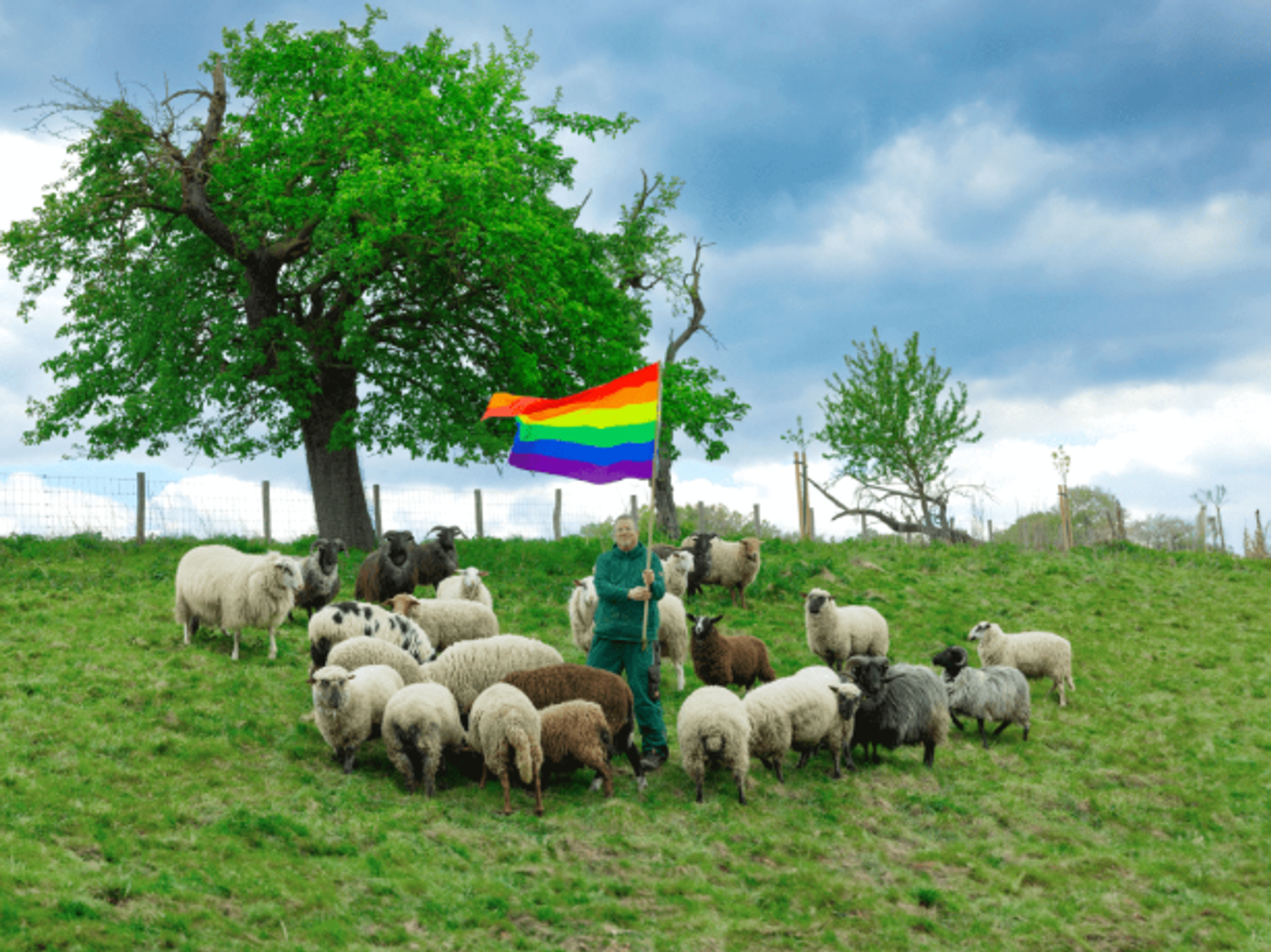 Woke fashion show includes wool of gay sheep as part of collection campaigning to save animal slaughter