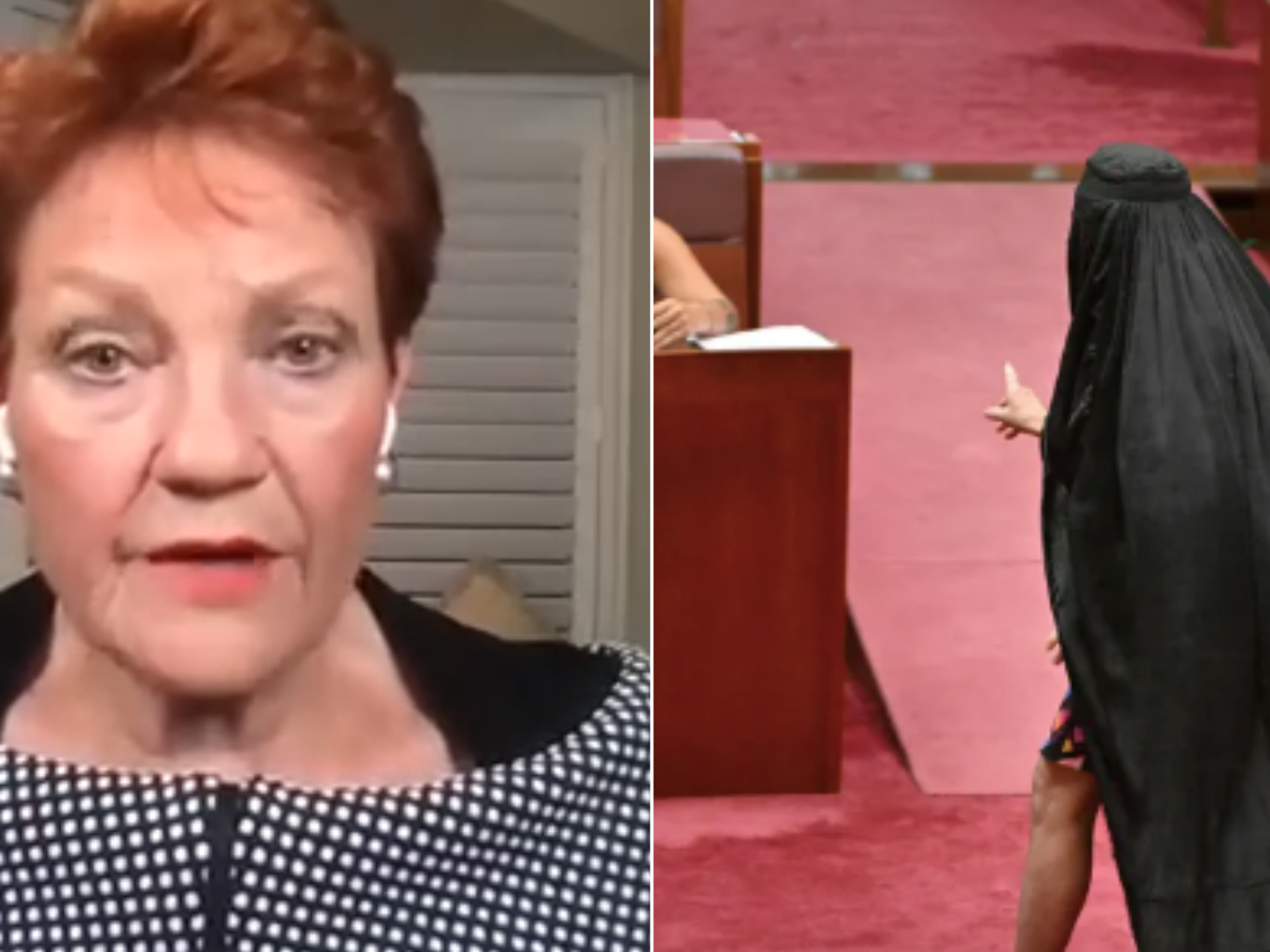Pauline Hanson defends burqa protest and warns ‘England has become unrecognisable’ telling voters...