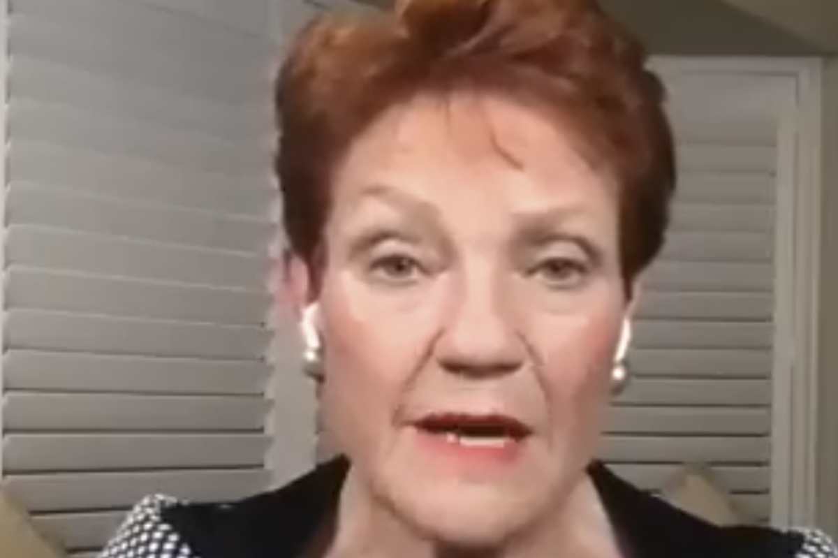 Australian MP Pauline Hanson defends burqa protest and warns ‘England has become unrecognisable’ telling voters to ‘wake up’