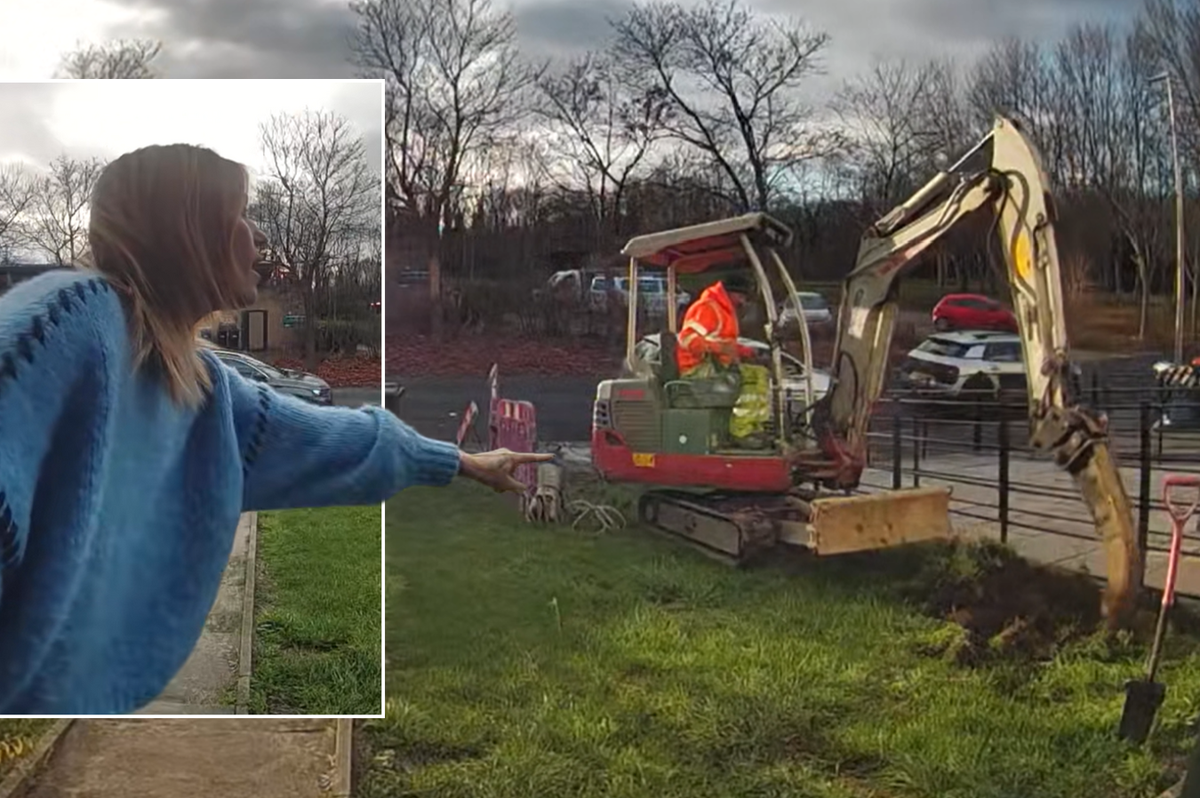 Mother's horror as neighbour orders digger to plough '15ft trench' in her front garden