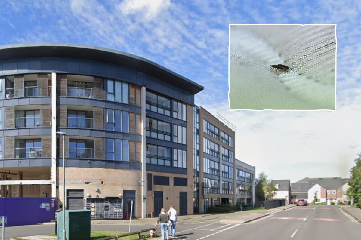 Christmas fete for elderly care residents forced to be cancelled after horrifying discovery