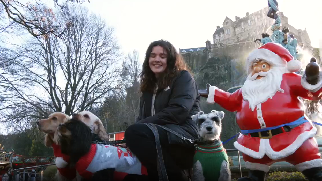 British dogs aiming to break world record for most pups wearing Christmas jumpers