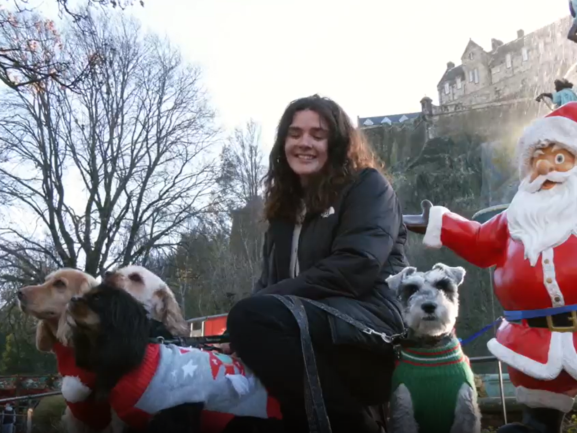British dogs aiming to break world record for most pups wearing Christmas jumpers