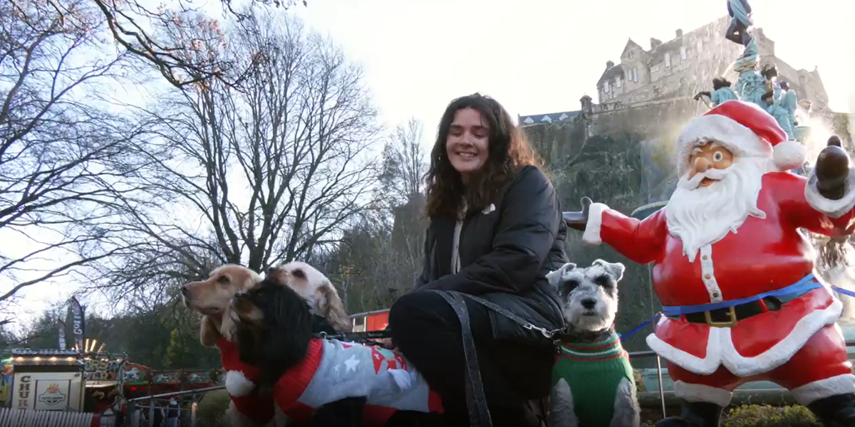 Scotland news: Santa Paws event aiming to break world record for most dogs wearing Christmas jumpers thumbnail