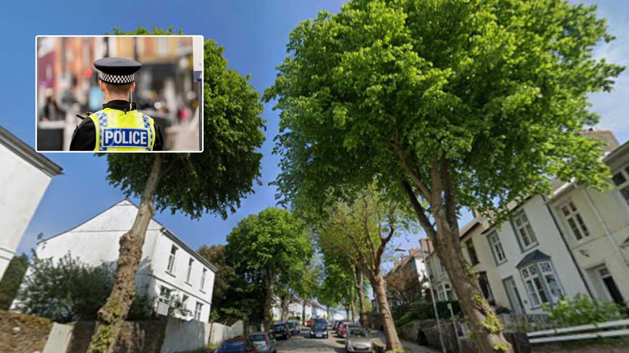 Eco-protesters clash with police and security guards after trees chopped down in Cornish town