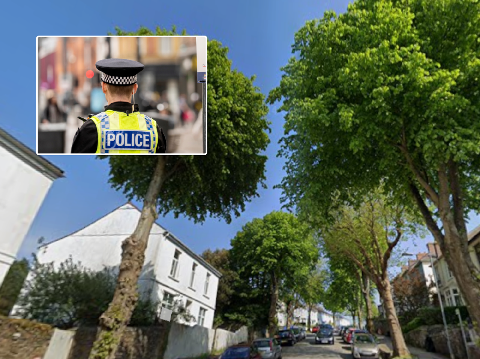 Eco-protesters clash with police and security guards after trees chopped down in Cornish town