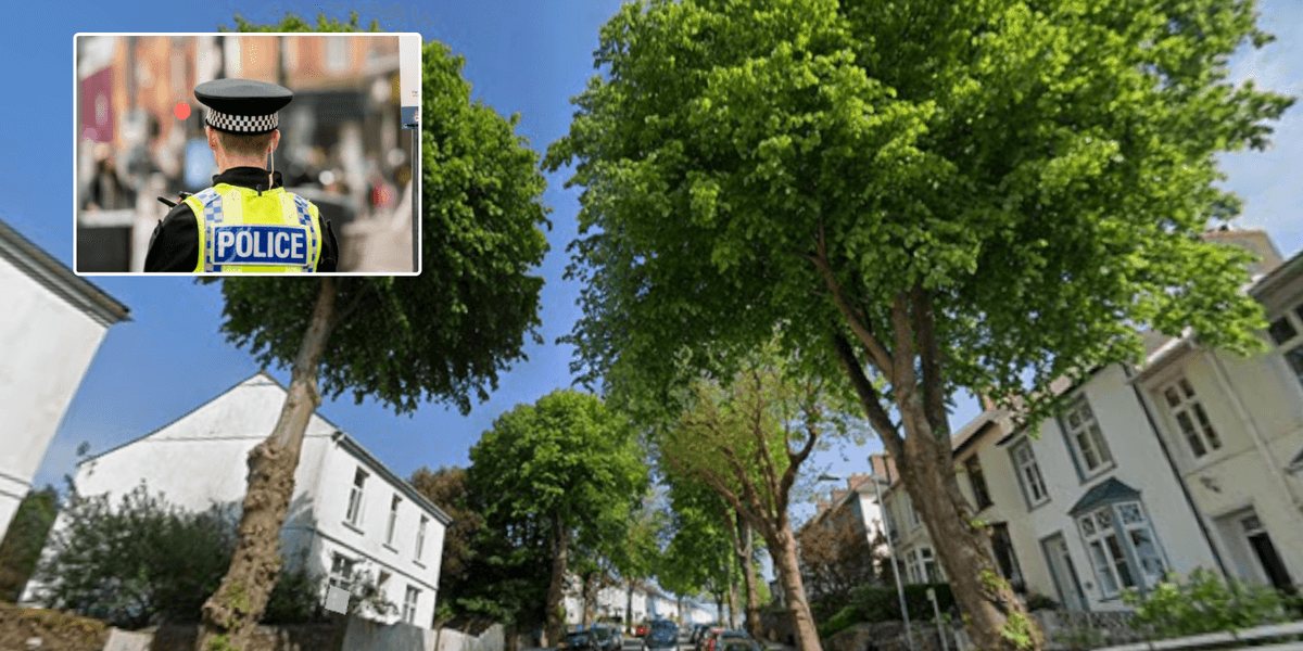 Eco-protesters clash with police and security guards after trees chopped down in Cornish town Eco-protesters clash with police and security guards after trees chopped down in Cornish town