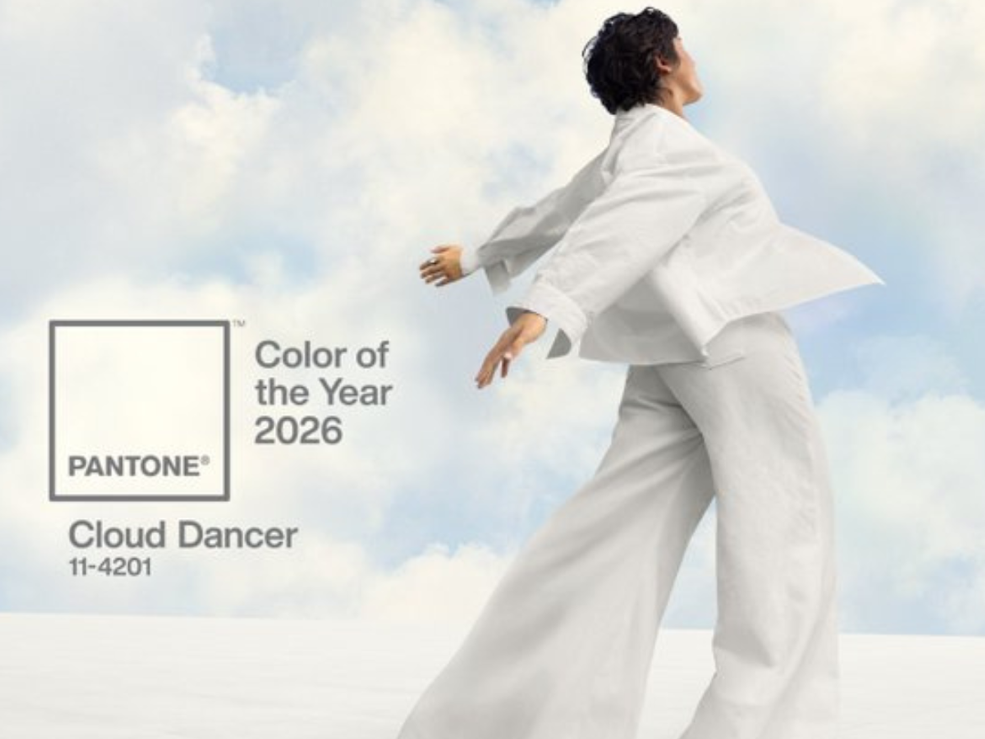 Woke meltdown erupts after Pantone names white as 'colour of the year'