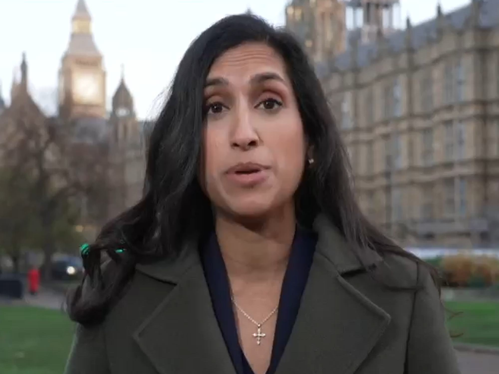 WATCH: Labour accused by top Tory of 'pushing through laws that people did not vote for'
