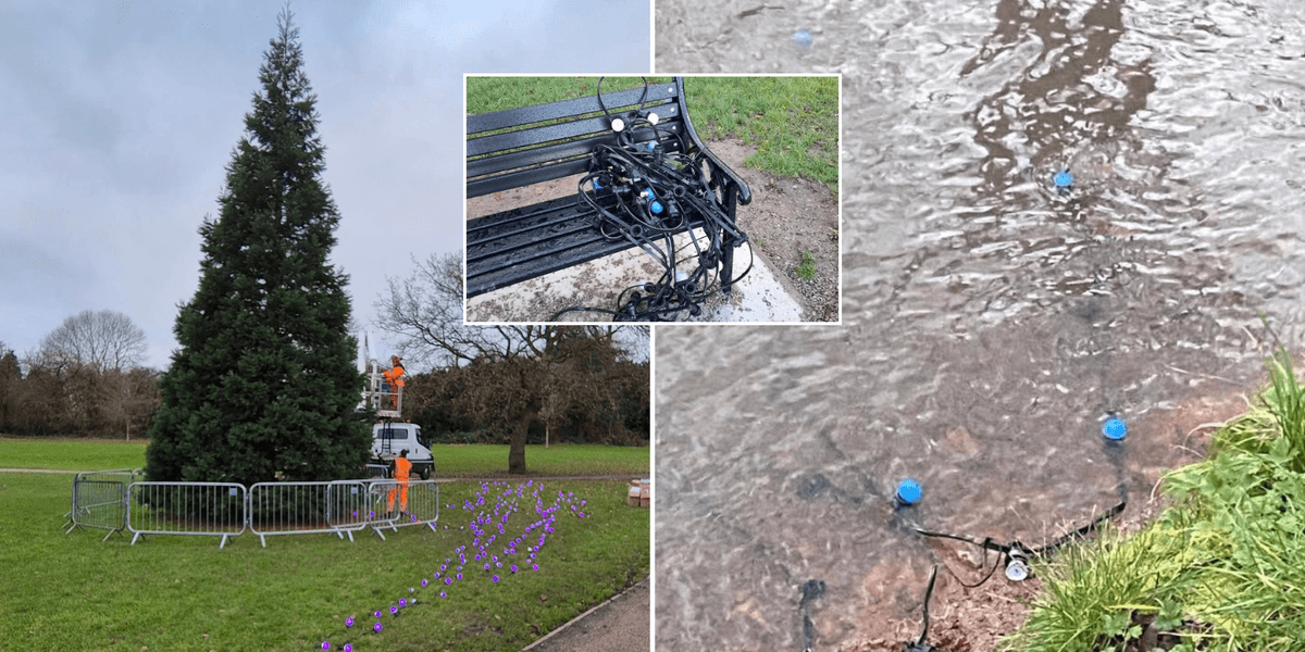 ‘Christmas is cancelled!’ Fury erupts after lights taken from tree as police launch investigation ‘Christmas is cancelled!’ Fury erupts after lights taken from tree as police launch investigation