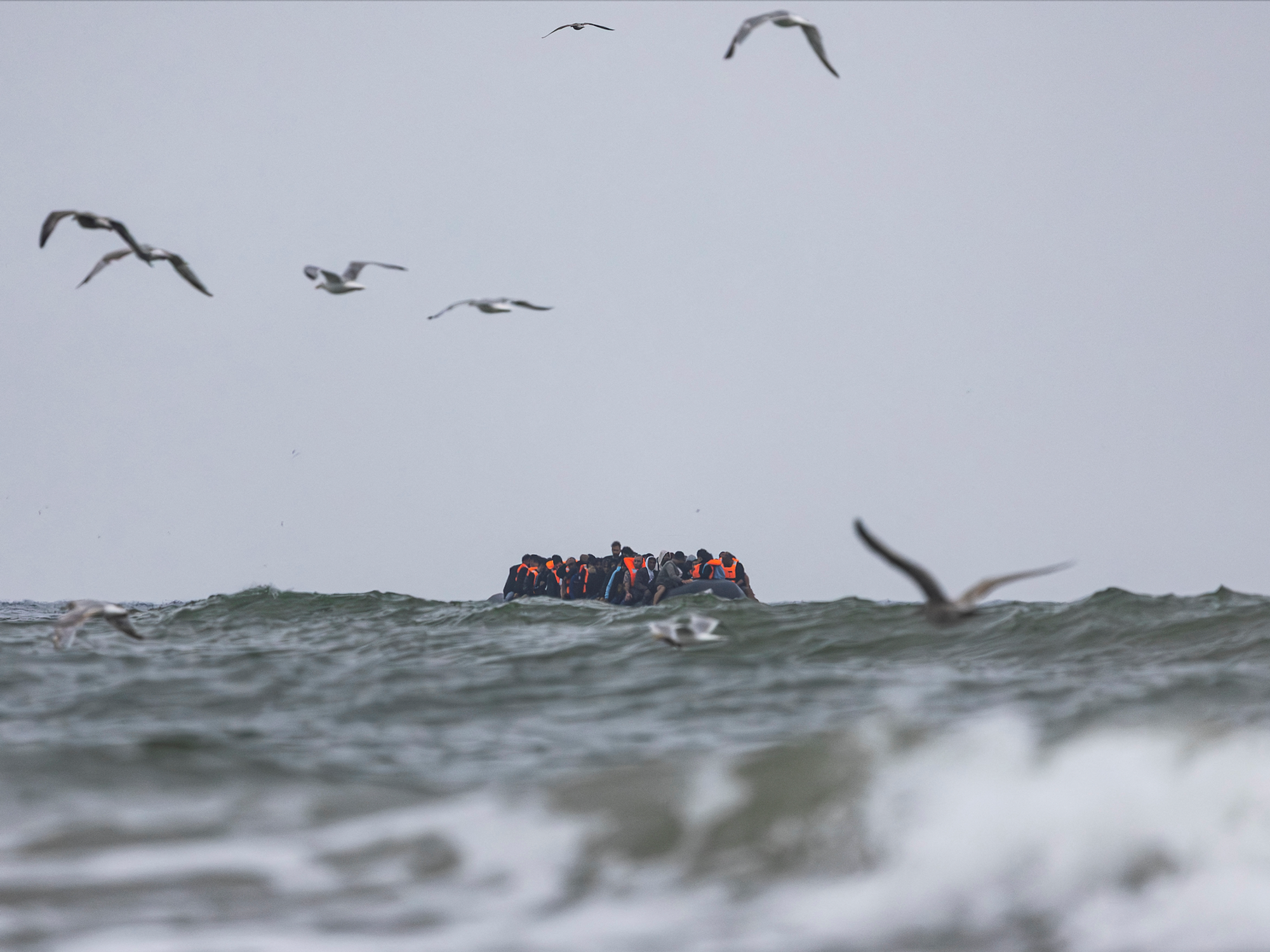 POLL: Should we hold an emergency census after record levels of immigration? YOU DECIDE