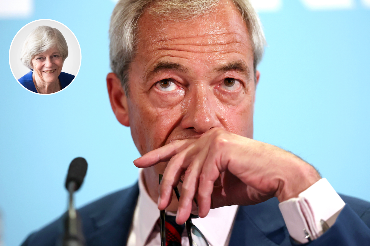 I know the dark arts of the Tories. This olive branch to Reform is a naked power grab - Ann Widdecombe