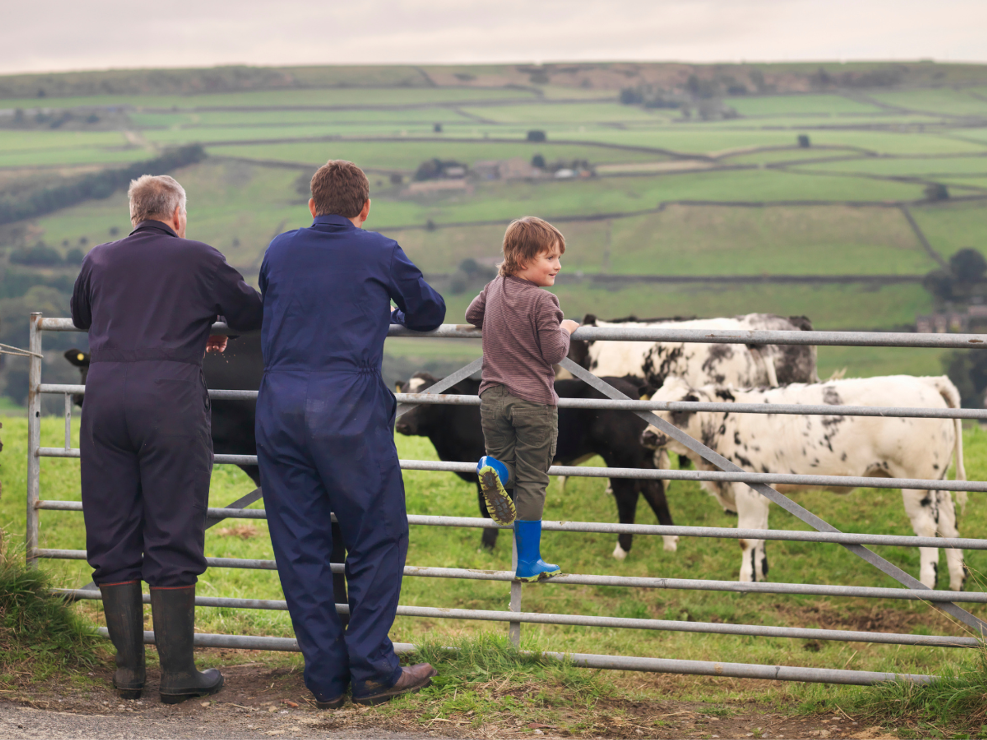 Over 6,000 farms forced to close after Labour's inheritance tax shambles