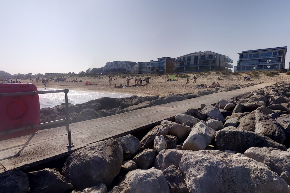 Hero dog saved widower, 71, after owner suffered cardiac arrest at beach