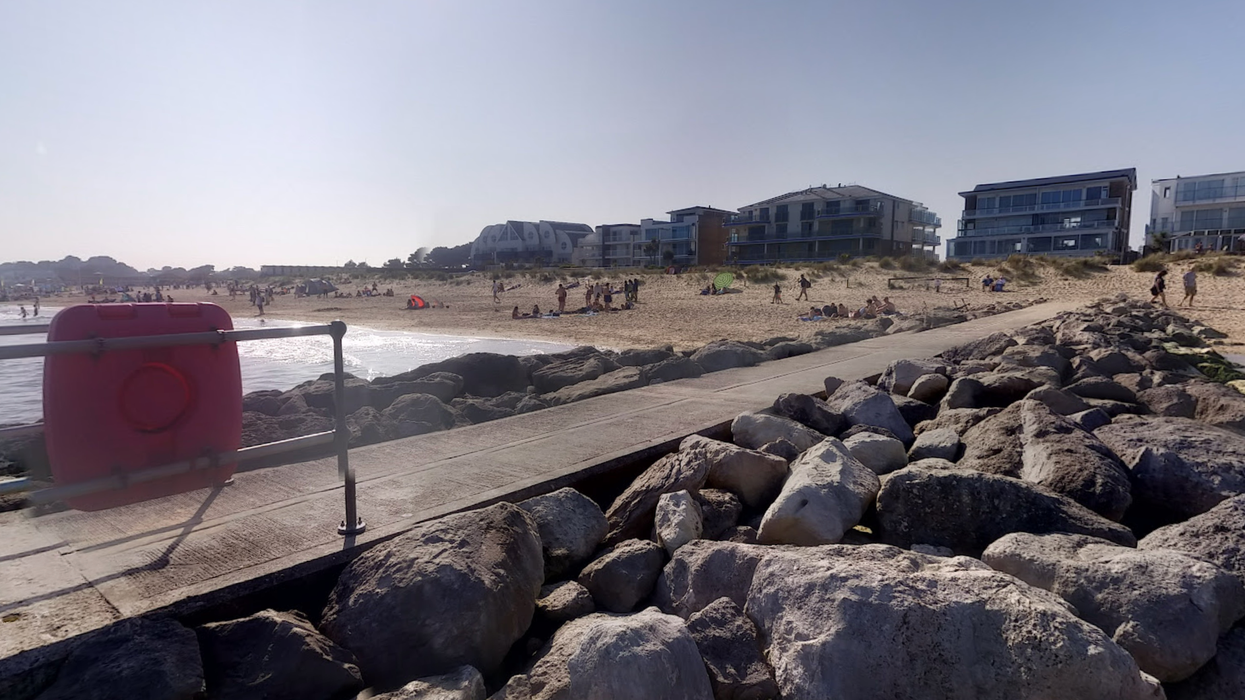 Hero dog saved widower, 71, after owner suffered cardiac arrest at beach