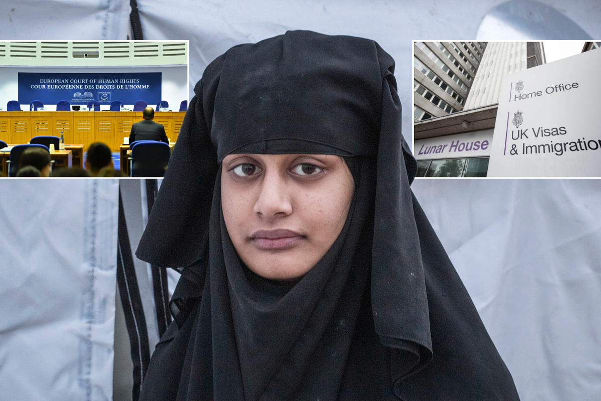 'The CHEEK!' Shamima Begum could RETURN to Britain as European judges lay down formal challenge to UK