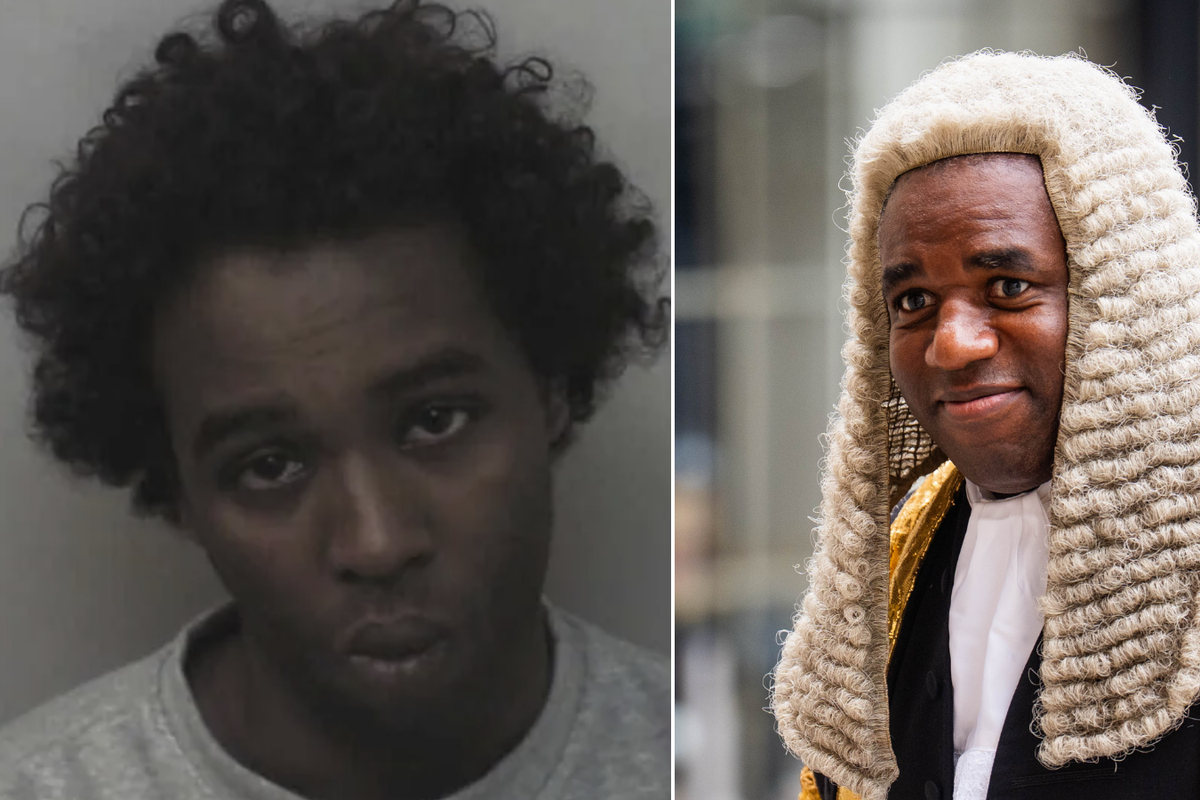 'Sick joke!' David Lammy hands Islamist double killer £250,000 of taxpayers' cash