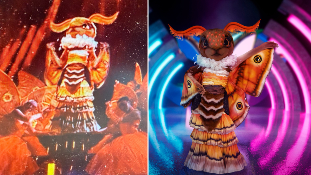 ITV The Masked Singer fans 'uncover' Moth's identity within moments of debut as they 'work out' clues package