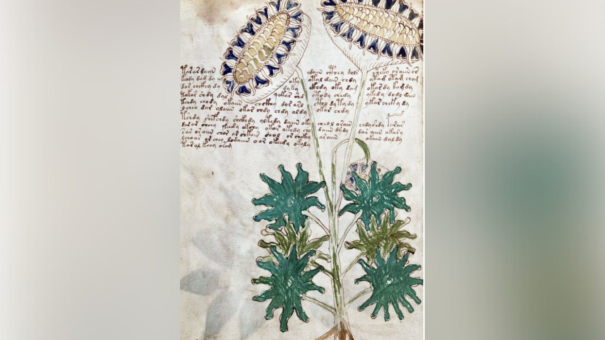 World's ‘most mysterious manuscript’ could be ancient encrypted message, study finds