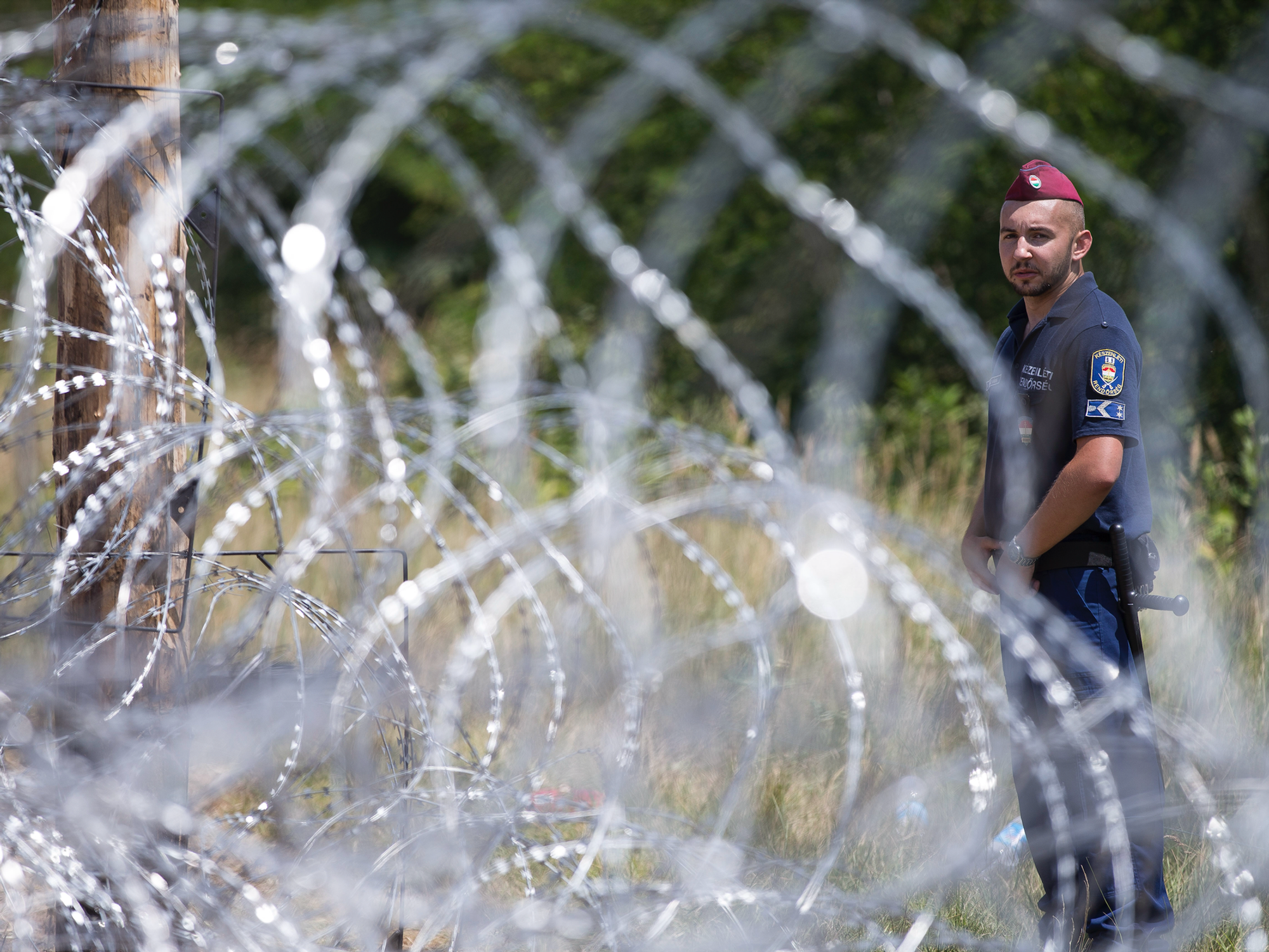 POLL: Should Britain have a Hungarian-style immigration crackdown? YOU DECIDE
