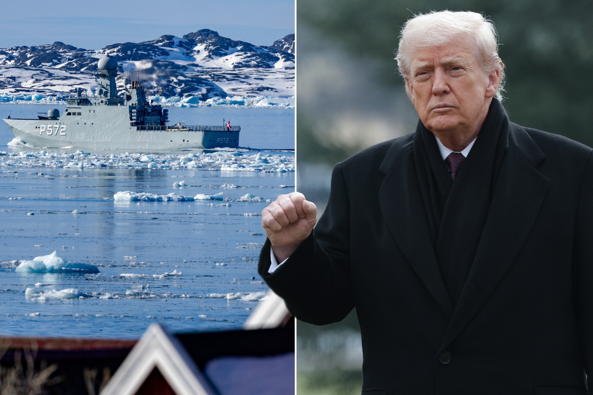 'It's the easy way or the hard way!' Donald Trump vows America will own Greenland - so China and Russia can't