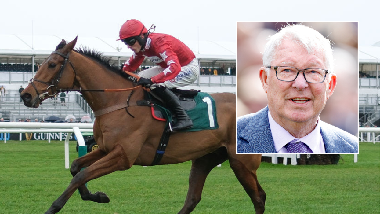 Sir Alex Ferguson's horse dies in tragic fall at iconic British venue as statement released