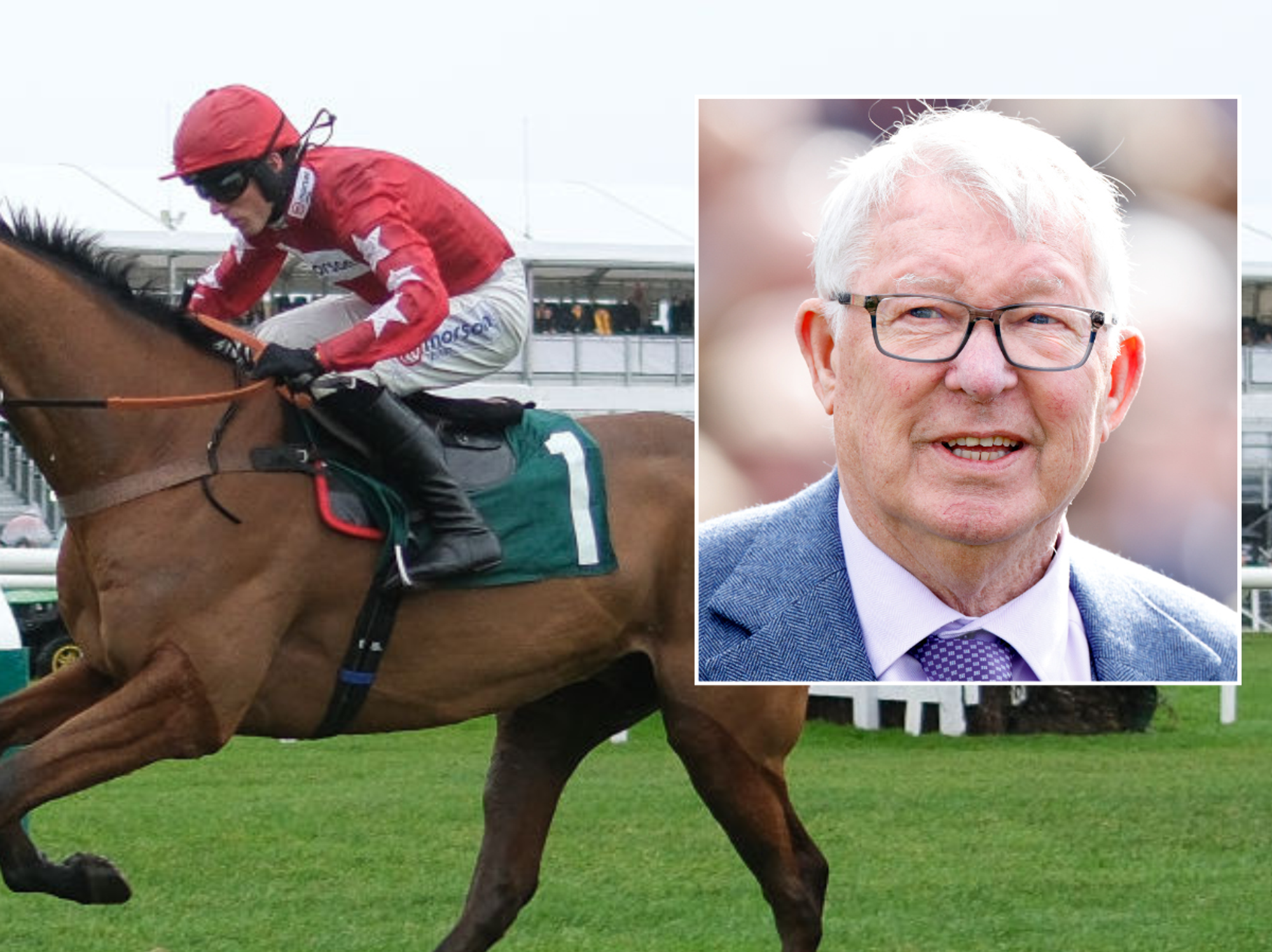 Sir Alex Ferguson's horse dies in tragic fall at iconic British venue as statement released