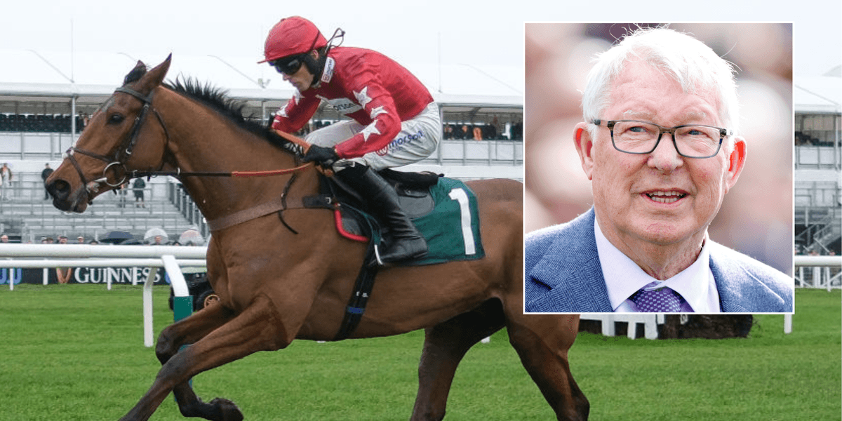 Alex Ferguson’s horse dies in tragic fall at iconic British venue as statement released Alex Ferguson’s horse dies in tragic fall at iconic British venue as statement released
