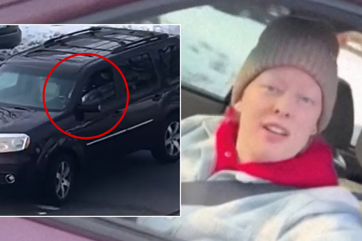 Woman shot by Ice agent 'danced in her car as she blocked traffic before driving into officer'