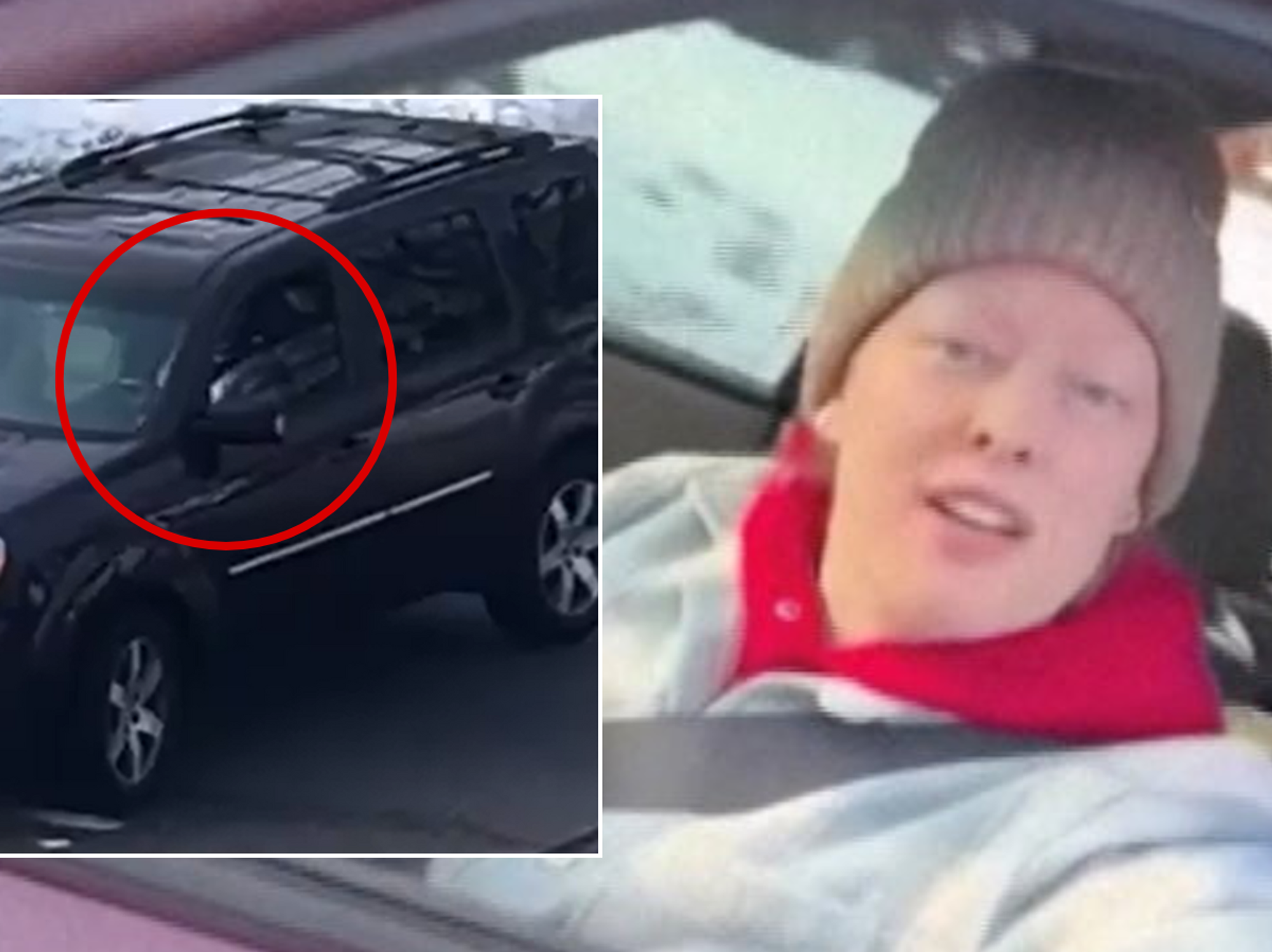 Woman shot by Ice agent 'danced in her car as she blocked traffic before driving into officer'