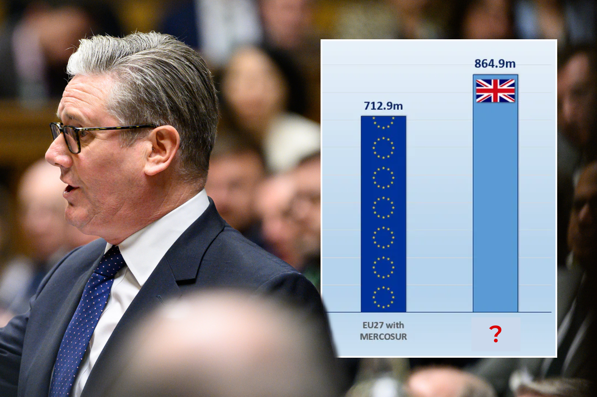 EXPOSED: Britain sitting idle in goldmine market 30% larger than EU - while Keir Starmer chases Brexit reset