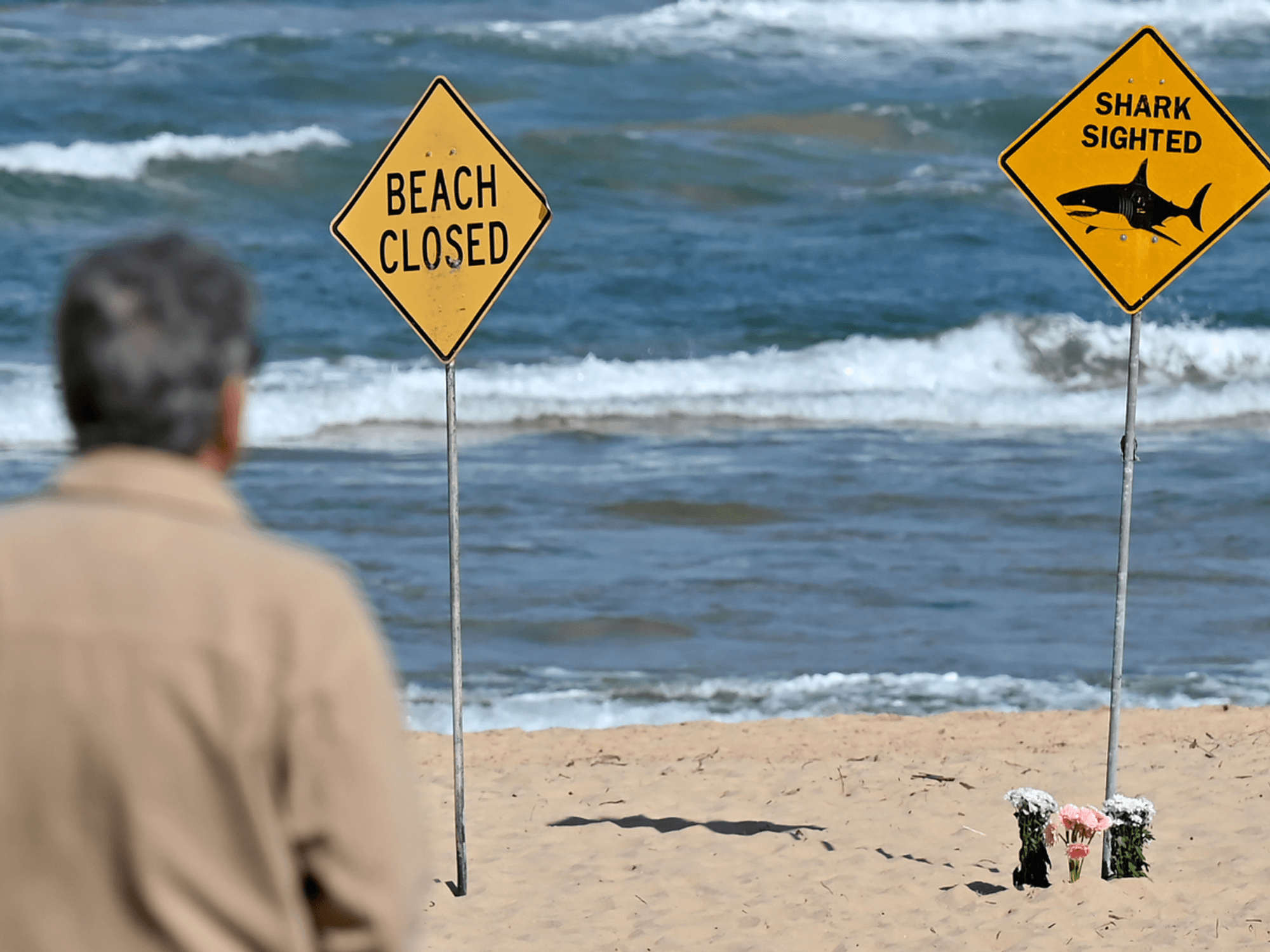 Australia suffers FOURTH shark attack in just 48 hours - and shark experts reveal 'disgusting' reason why