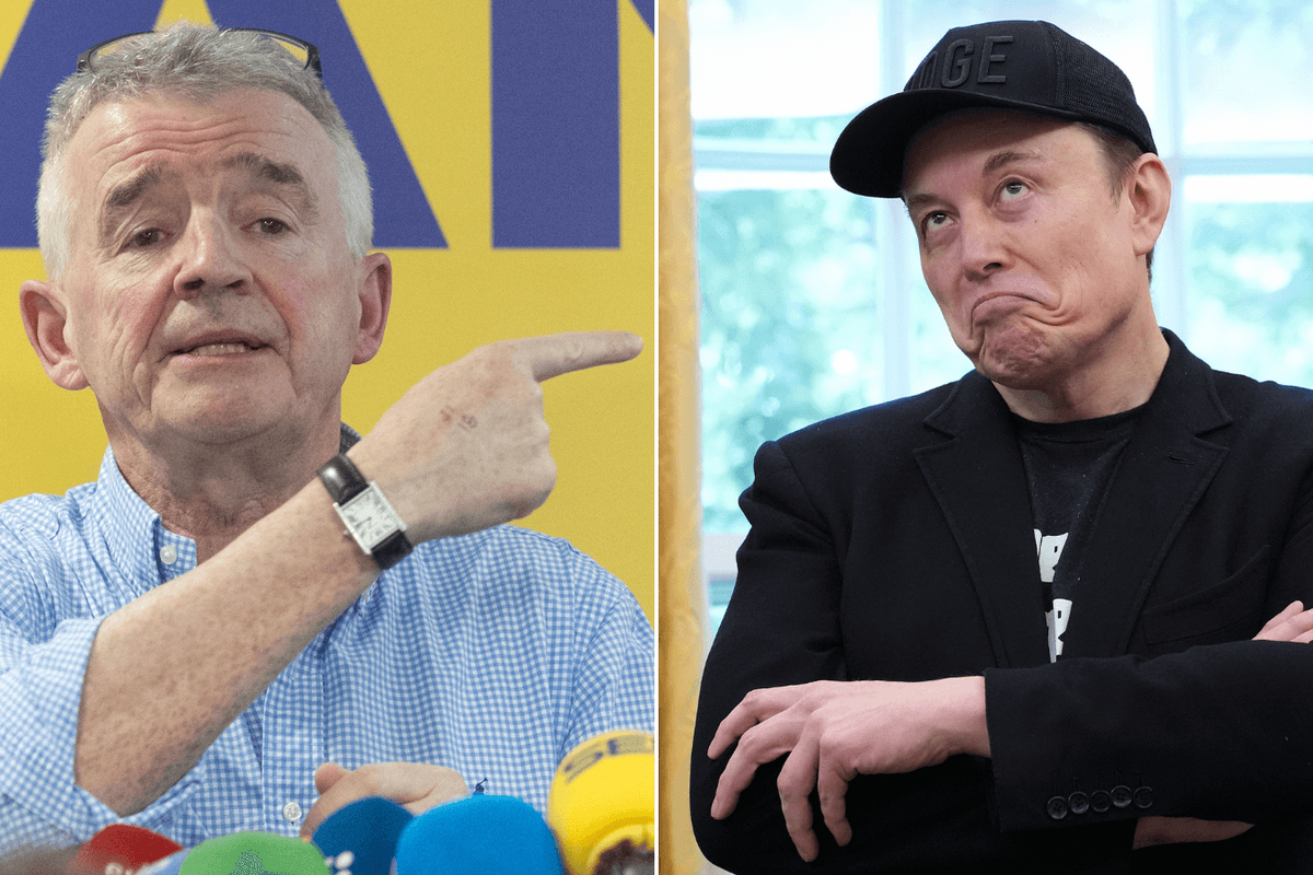 Ryanair brands Elon Musk 'idiot' in bizarre war of words after tycoon threatens to buy airline