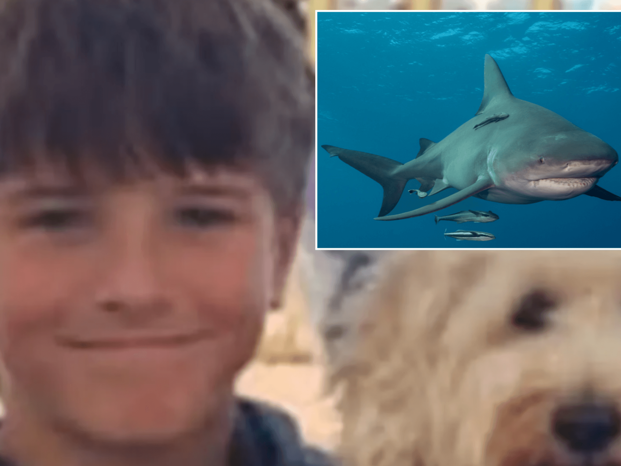 Schoolboy, 12, 'will never wake up again' after shark attack left him 'brain dead'