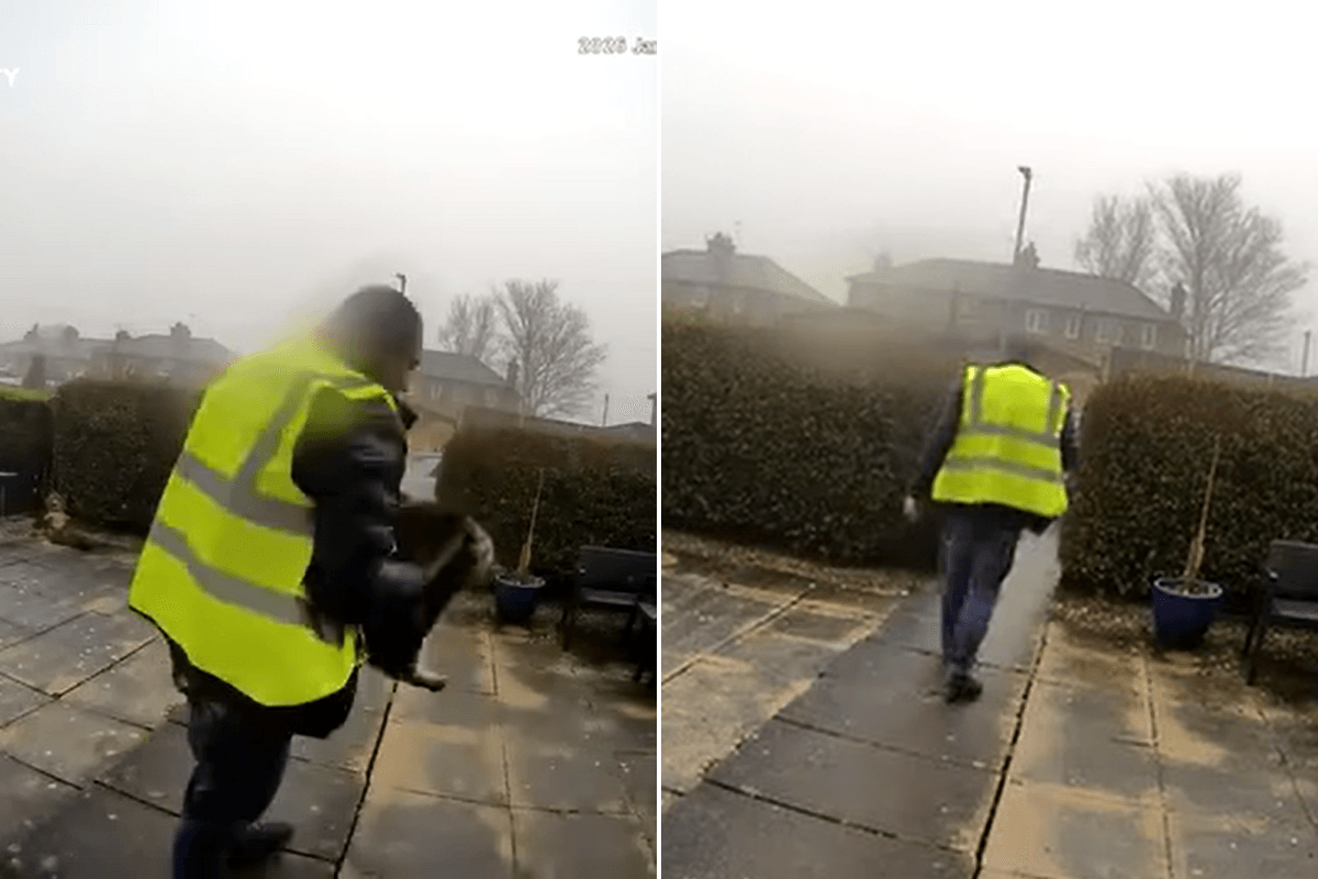 Amazon delivery driver steals cat from doorstep leaving family devastated in shocking doorbell footage