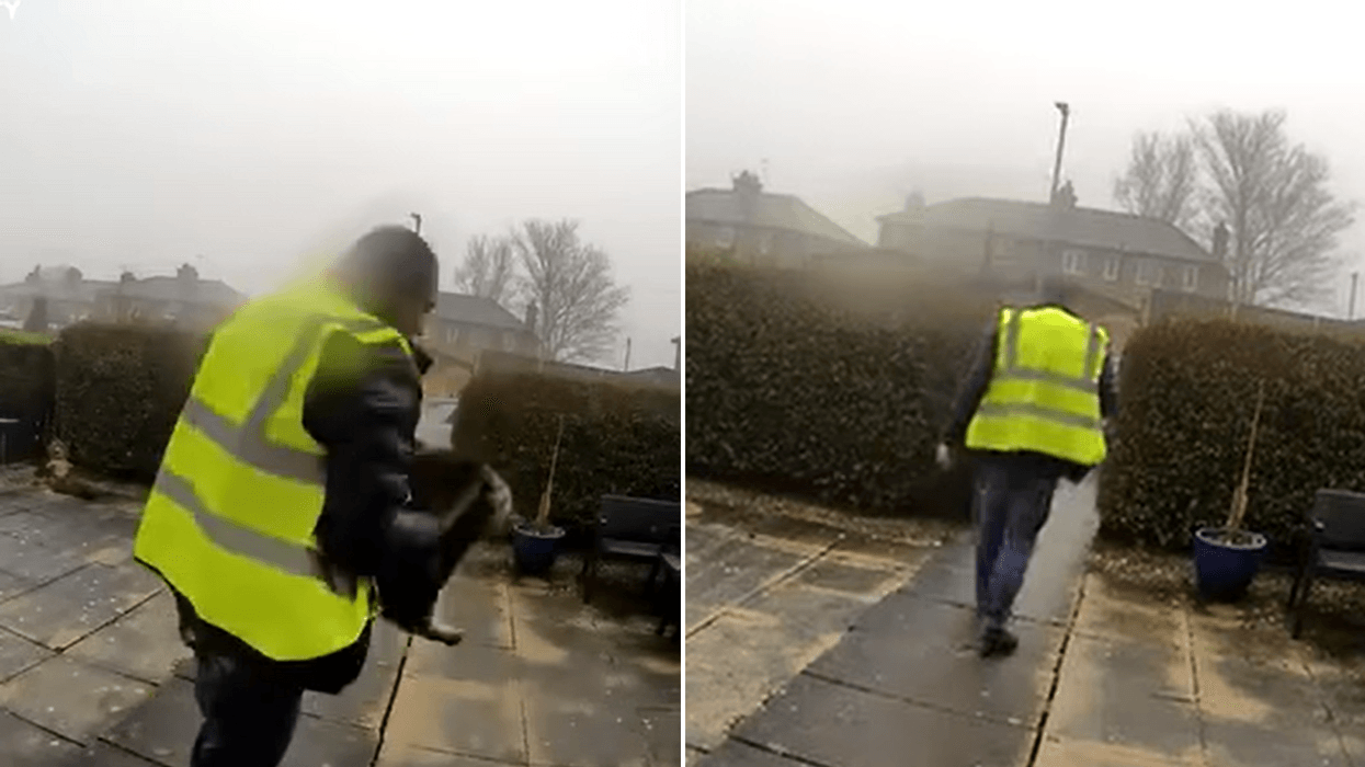 Amazon delivery driver STEALS cat from doorstep leaving family devastated in shocking doorbell footage