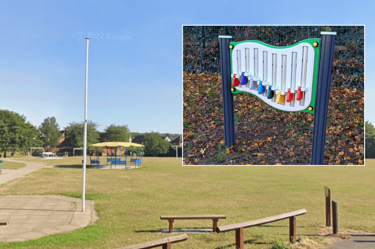 'Unbearable!' Village row erupts after neighbours moan over 'noisy' musical chimes in children's park