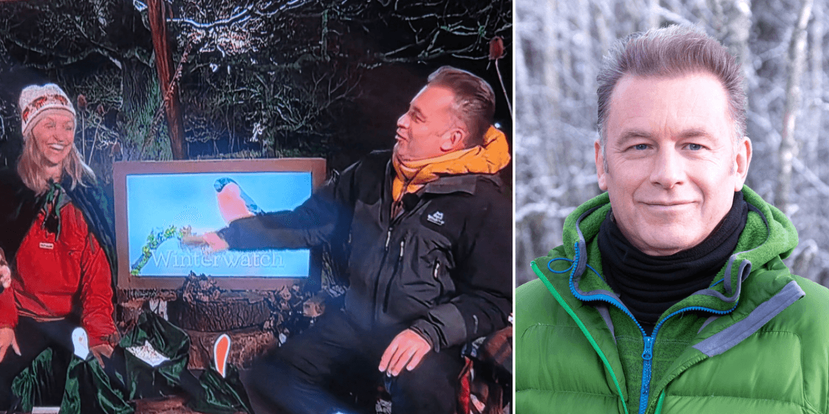 BBC Winterwatch viewers ‘switch off’ as they fume ‘sick of it’ following Chris Packham remark BBC Winterwatch viewers ‘switch off’ as they fume ‘sick of it’ following Chris Packham remark
